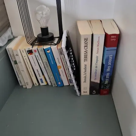 Cap D'agde Bord De Avec Piscine 公寓 阿格德