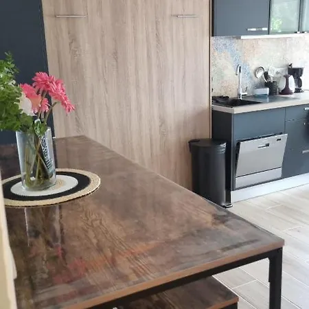 公寓 Cap D'agde Bord De Avec Piscine 阿格德