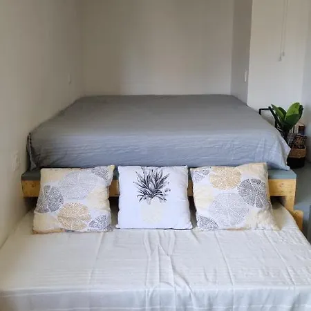 Cap D'agde Bord De Avec Piscine 公寓