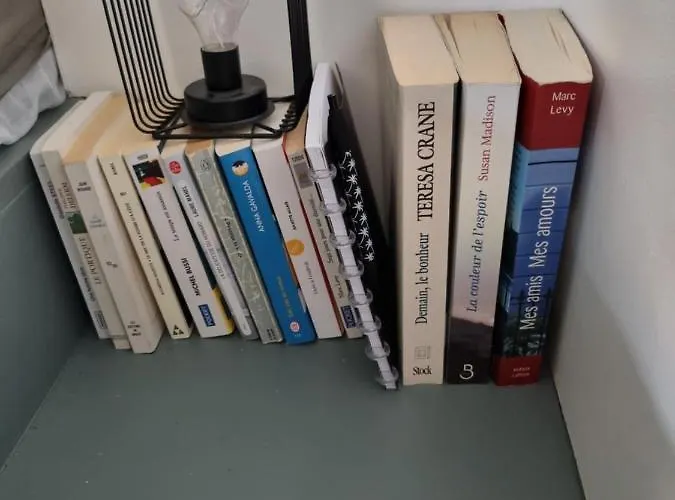 Cap D'agde Bord De Avec Piscine Апартаменти Агд