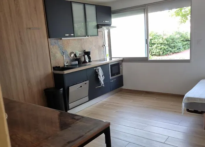 Cap D'agde Bord De Avec Piscine Апартаменти Агд